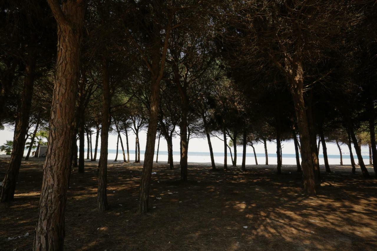 Pine-Tree Apt W/ Private Garden 50 M From The Sea Golem  Luaran gambar