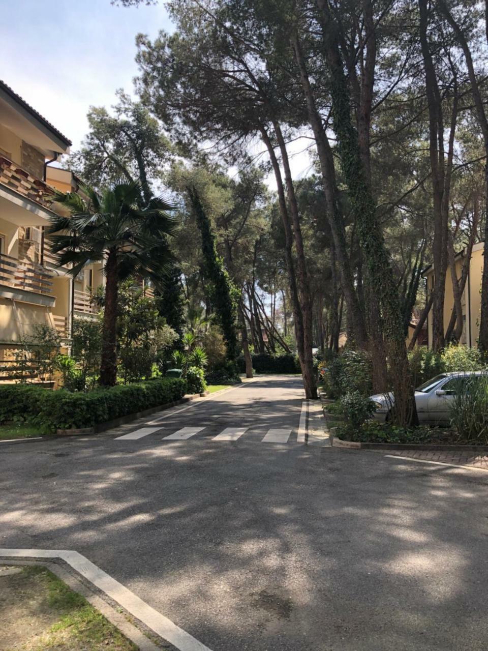 Pine-Tree Apt W/ Private Garden 50 M From The Sea Golem  Luaran gambar